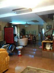 Sungrove (D5), Semi-Detached #552355311